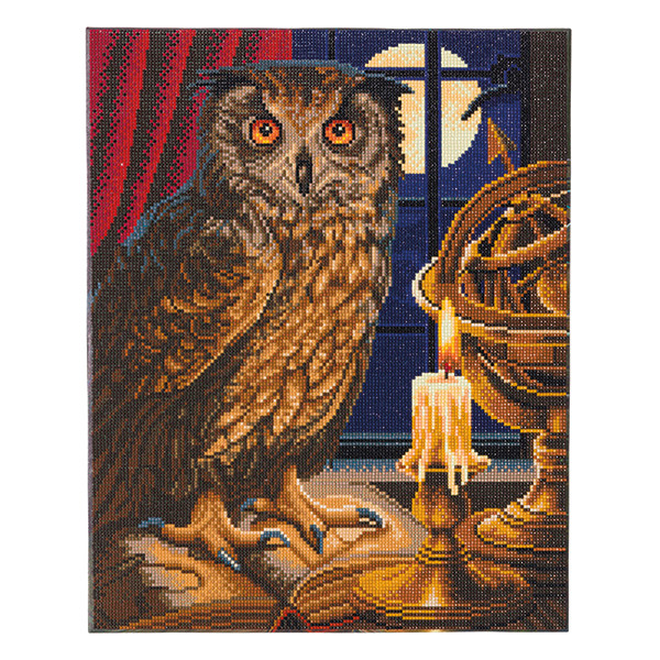 Crystal Art diamond painting kit The Astrologer Owl 40 x 50 cm CAK-A99L 400957 - 1