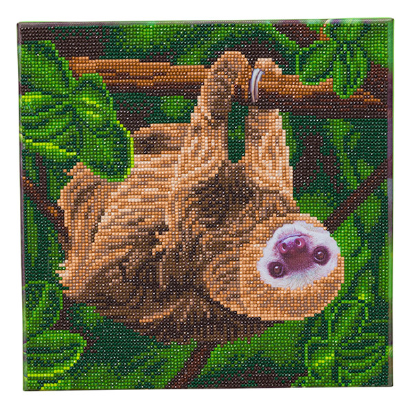 Crystal Art diamond painting kit Two Toed Sloth 30 x 30 cm CAK-A143M 400939 - 1