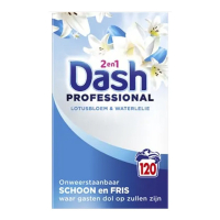 Dash Professional Lotusbloem & Waterlelie 2-in-1 waspoeder 6,6 kg (120 wasbeurten) SDA05141