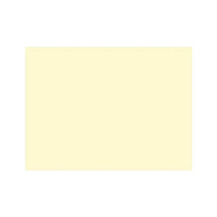 Duni placemat 30 x 40 cm (4 x 250 stuks) 298143