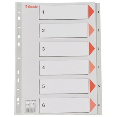 Esselte 100104 plastic tabbladen A4 grijs met 6 tabs (11-gaats) 100104 203810 - 1