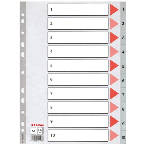 Esselte 100105 plastic tabbladen A4 grijs met 10 tabs (11-gaats) 100105 203812 - 1