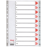 Esselte 100105 plastic tabbladen A4 grijs met 10 tabs (11-gaats) 100105 203812