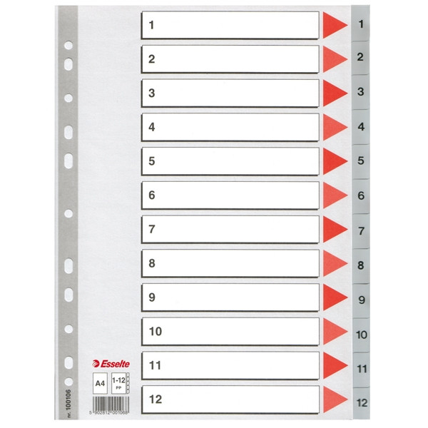 Esselte 100106 plastic tabbladen A4 grijs met 12 tabs 1-12 (11-gaats) 100106 203814 - 1