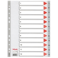 Esselte 100106 plastic tabbladen A4 grijs met 12 tabs 1-12 (11-gaats) 100106 203814