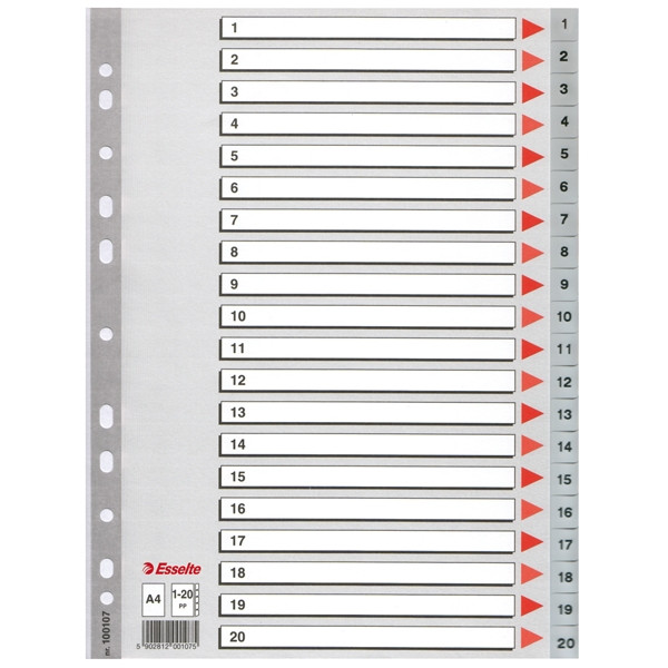 Esselte 100107 plastic tabbladen A4 grijs met 20 tabs (11-gaats) 100107 203816 - 1