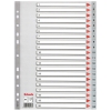 Esselte 100107 plastic tabbladen A4 grijs met 20 tabs (11-gaats)