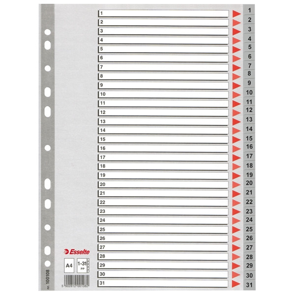 Esselte 100108 plastic tabbladen A4 grijs met 31 tabs (11-gaats) 100108 203818 - 1