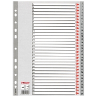 Esselte 100108 plastic tabbladen A4 grijs met 31 tabs (11-gaats) 100108 203818