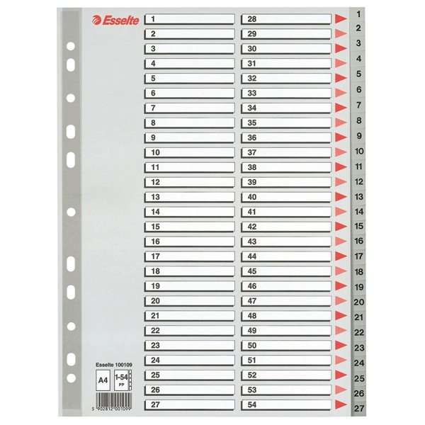 Esselte 100109 plastic tabbladen A4 grijs met 54 tabs (11-gaats) 100109 203820 - 1