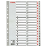 Esselte 100109 plastic tabbladen A4 grijs met 54 tabs (11-gaats) 100109 203820