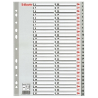 Esselte 100109 plastic tabbladen A4 grijs met 54 tabs (11-gaats) 100109 203820