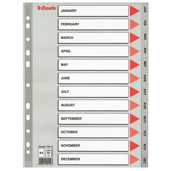 Esselte 100114 plastic tabbladen A4 grijs met jan-dec (11-gaats) 100114 203824 - 1