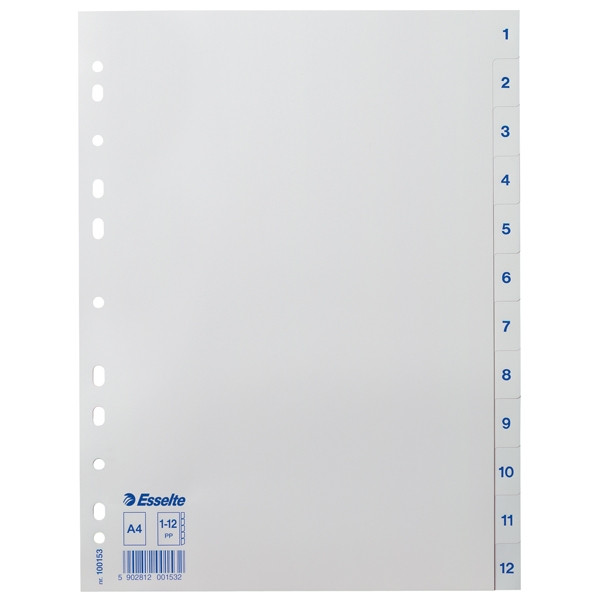 Esselte 100153 plastic tabbladen A4 wit met 12 tabs 1-12 (11-gaats) 100153 203830 - 1