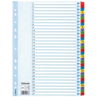 Esselte 100164 kartonnen tabbladen A4 met 31 tabs (11-gaats) 100164 203840