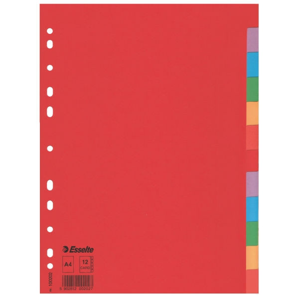 Esselte 100202 gekleurde kartonnen tabbladen A4 met 12 tabs (11-gaats) 100202 203516 - 1