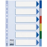 Esselte 15260 plastic tabbladen A4 gekleurd met 6 tabs (11-gaats) 15260 203800