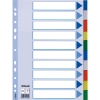 Esselte 15261 plastic tabbladen A4 gekleurd met 10 tabs (11-gaats)