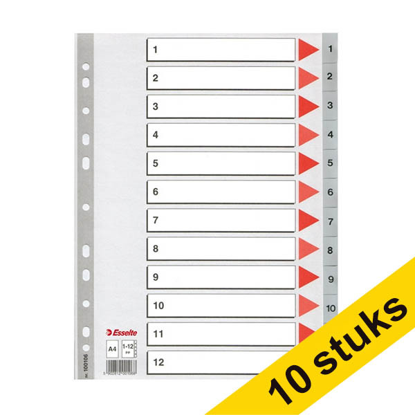 Aanbieding: 10x Esselte 100106 plastic tabbladen A4 grijs met 12 tabs 1-12 (11-gaats) 203815 - 1