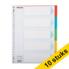 Aanbieding: 10x Esselte 100197 kartonnen tabbladen A4 met 5 tabs (23-gaats) 203511 - 1
