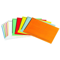Esselte Orgarex ruiterstroken voor verticale hangmappen (250 stuks) 203215