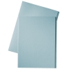 Esselte inlegmap van dossierkarton met 10 mm overslag folio blauw (100 stuks) 1032402 203660