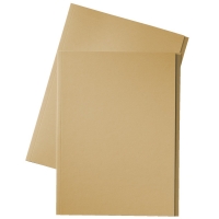 Esselte inlegmap van dossierkarton met 10 mm overslag folio crème (100 stuks) 1032404 203662