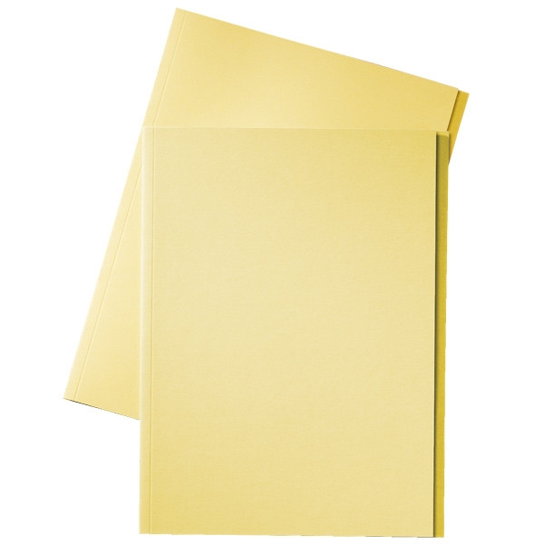 Esselte inlegmap van dossierkarton met 10 mm overslag folio geel (100 stuks) 1032406 203664 - 1