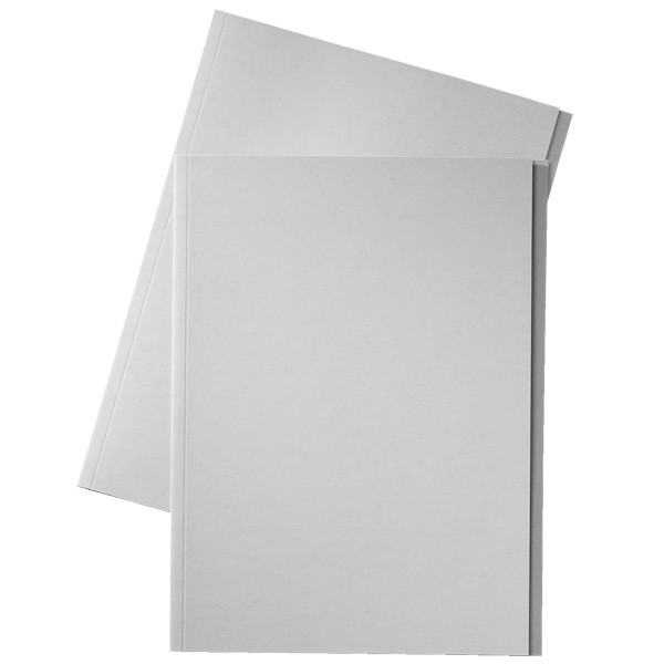 Esselte inlegmap van dossierkarton met 10 mm overslag folio grijs (100 stuks) 1032407 203666 - 1