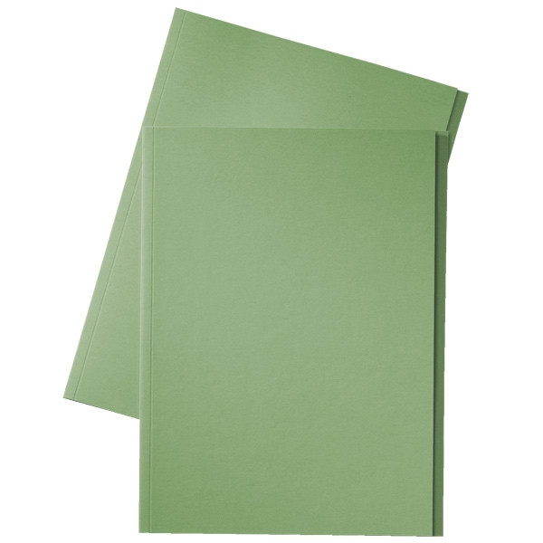 Esselte inlegmap van dossierkarton met 10 mm overslag folio groen (100 stuks) 1032408 203668 - 1