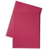 Esselte inlegmap van dossierkarton met 10 mm overslag folio rood (100 stuks) 1032415 203672
