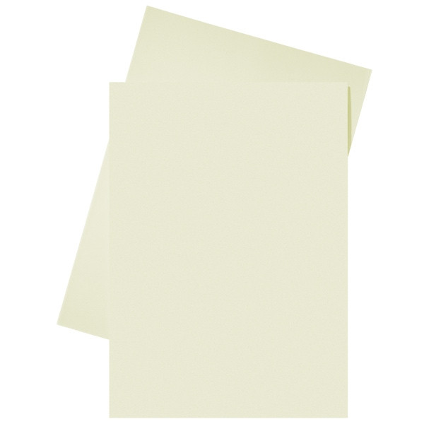 Esselte papieren inlegmap crème A4 (250 stuks) 2103404 203582 - 1