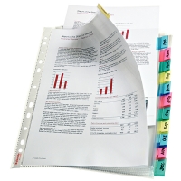 Esselte premium index geperforeerd hoesje met 12 tabs 414170 203229