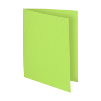 Exacompta Flash inlegmap karton A4 groen (100 stuks) 150013E 404458