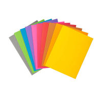 Exacompta Rock's 210 inlegmap A4 assorti (100 stuks) 404672