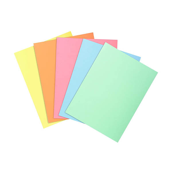 Exacompta Super 60 inlegmap A4 assorti (100 stuks) 404674 - 1