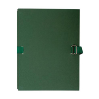 Exacompta documentenmap met uitrekbare rug A4 groen (10 stuks) 733E 404461
