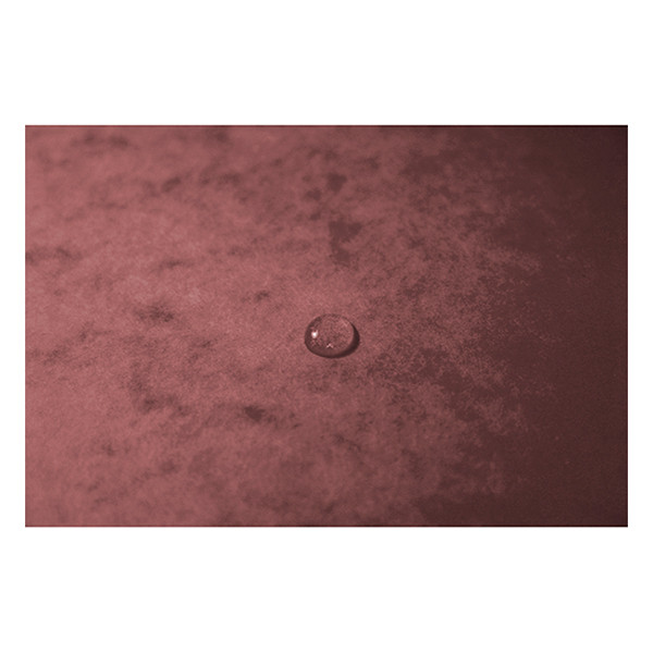 Exacompta elastomap glanskarton oudroze A4 55276E 404162 - 5