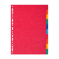 Exacompta kartonnen tabbladen A4 gekleurd met 10 tabs (11-gaats) 404662