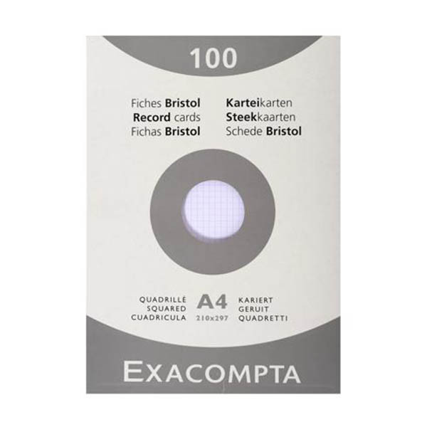 Exacompta steekkaart geruit 210 x 297 mm (100 stuks) 404621 - 1