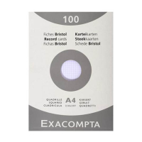 Exacompta steekkaart geruit 210 x 297 mm (100 stuks) 404621