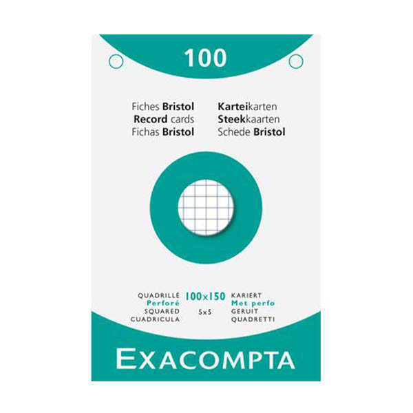 Exacompta steekkaart met perforatie geruit 100 x 150 mm (100 stuks) 404615 - 1