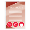 GBC classeur lamineerhoes A4 met perforatie glanzend 2x125 micron (100 stuks) 3743156 207040 - 2