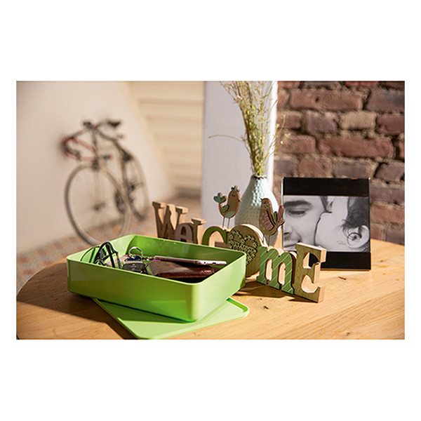 Han Allison smart-organiser box met deksel limoengroen HA-1110-80 218064 - 2