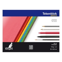 Kangaro schetsboek 34,5 x 24 cm 110 g/m² gekleurd (20 vellen) K-5588 205491