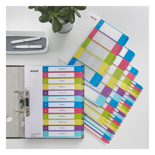 Leitz WOW plastic tabbladen printbaar A4+ assortiment 10 tabs (11-gaats) 12430000 226124 - 2