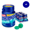 Mentos Breeze Mint kauwgom potje (6 stuks) 224671 423709 - 2