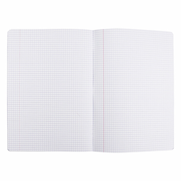 Oxford geruit schrift A4 assorti 10 stuks 36 vellen (5 mm) 260059 - 2
