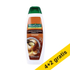 Aanbieding: 6x Palmolive 2-in-1 Arganolie shampoo (350 ml)