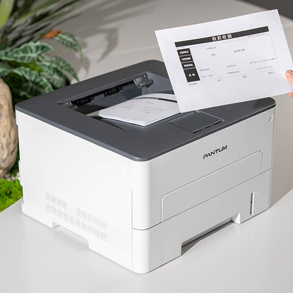 Pantum P3020D A4 laserprinter zwart-wit 850204 - 5